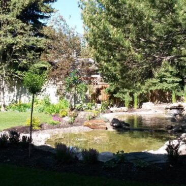 Final Backyard Garden Pond Design Stage 4 Before After by European Garden Design Calgary